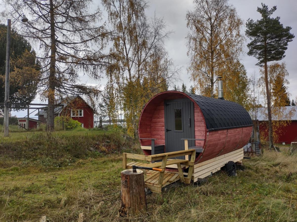 Seaman's Nest * Alskat